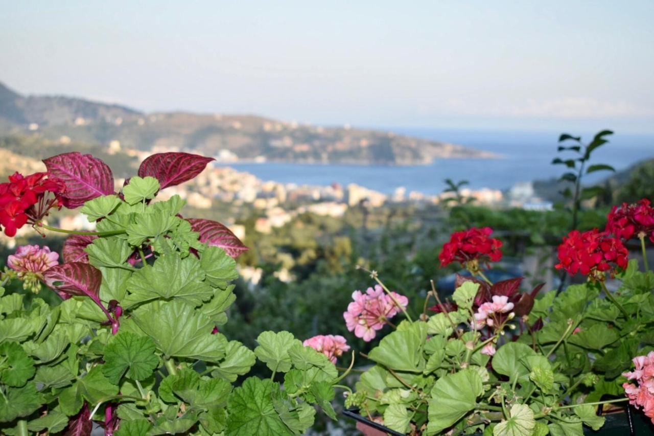 Tzavelitiko Home Himare Exteriör bild